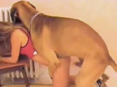[A Woman's Dog Penis] On video, a funny Polish teacher with green hair bonks with her dog.